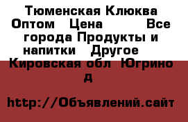 Тюменская Клюква Оптом › Цена ­ 200 - Все города Продукты и напитки » Другое   . Кировская обл.,Югрино д.